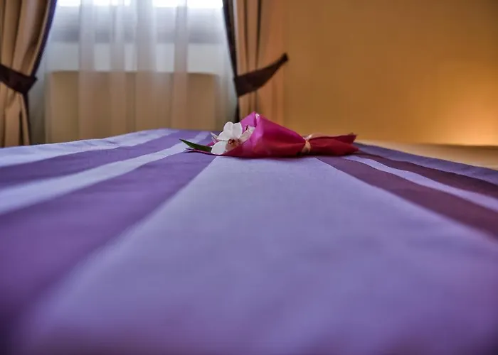 酒店 佛罗伦萨贝拉酒店 佛罗伦萨